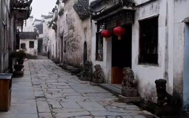 春雨直播app